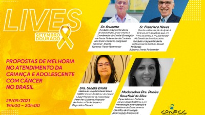 Propostas de Melhoria no Atendimento da Criança e Adolescente com Câncer no Brasil